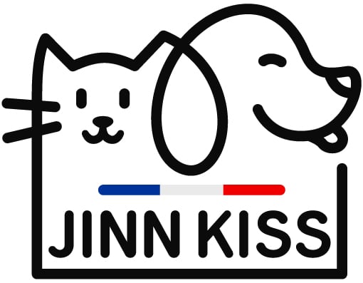Logo Jinnkiss