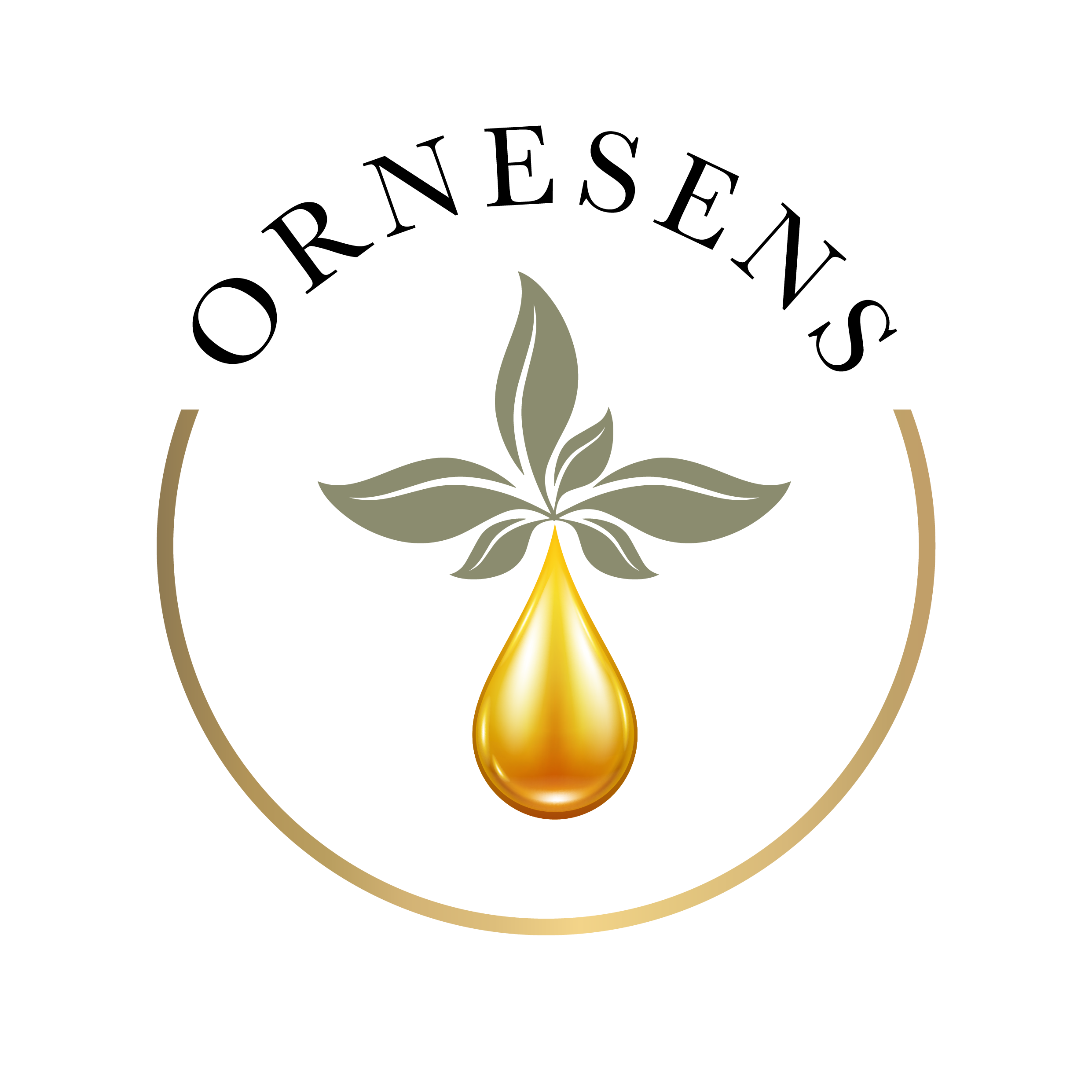 Logo Ornesens
