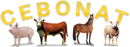 Logo Cebonat