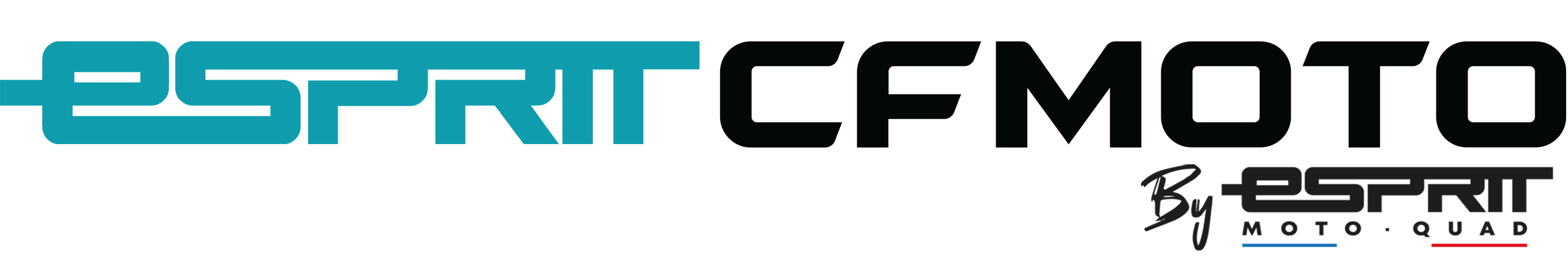 Logo Esprit CF Moto