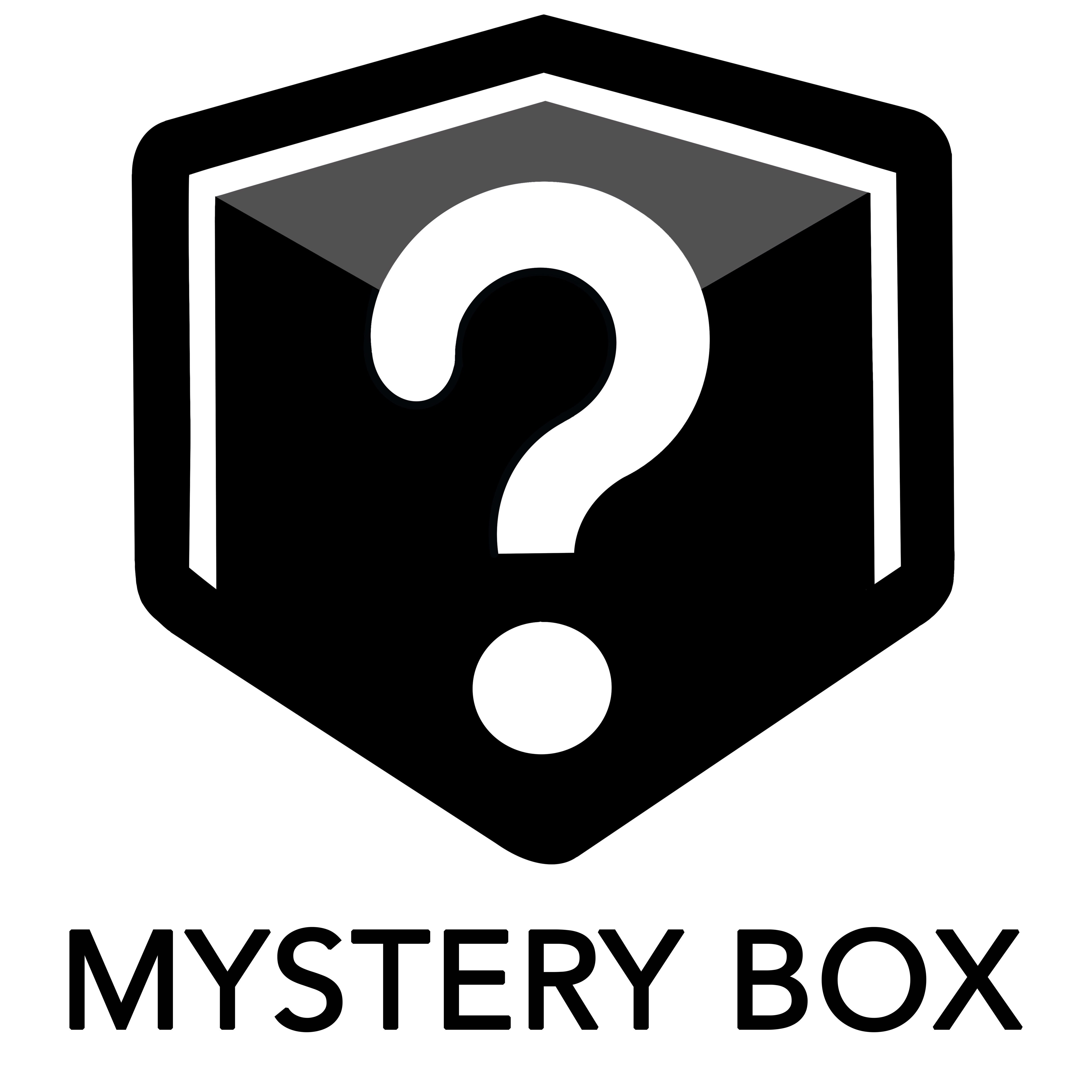 Logo Mystery Box