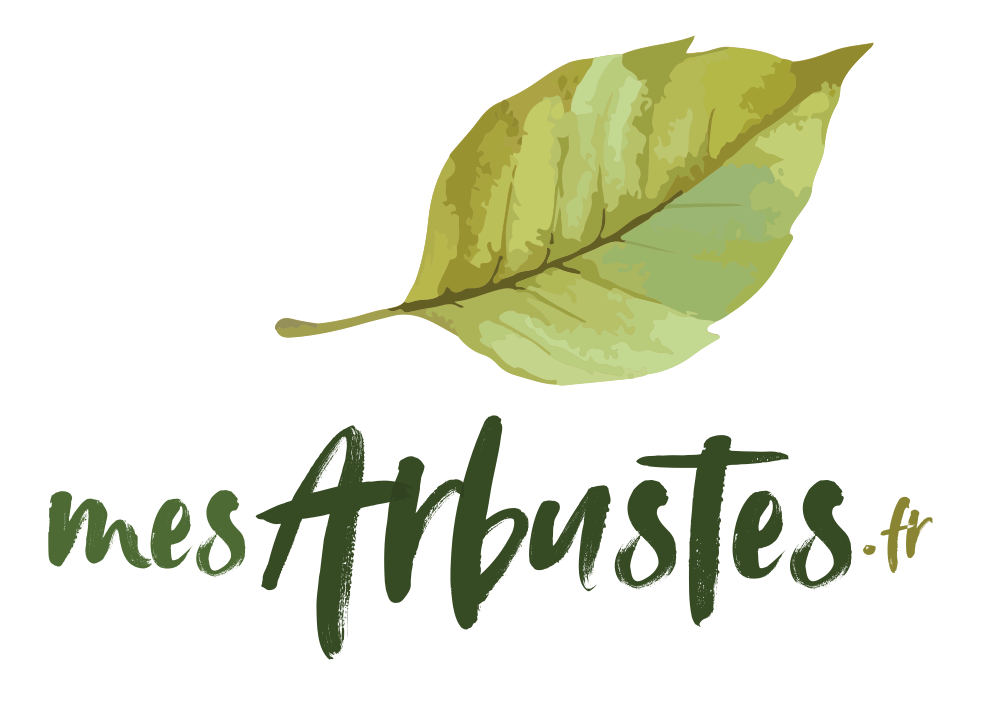 Logo mesArbustes