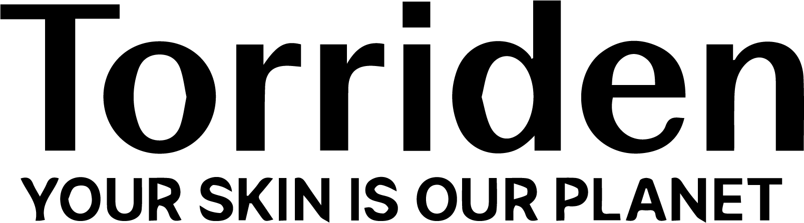 Logo Torriden