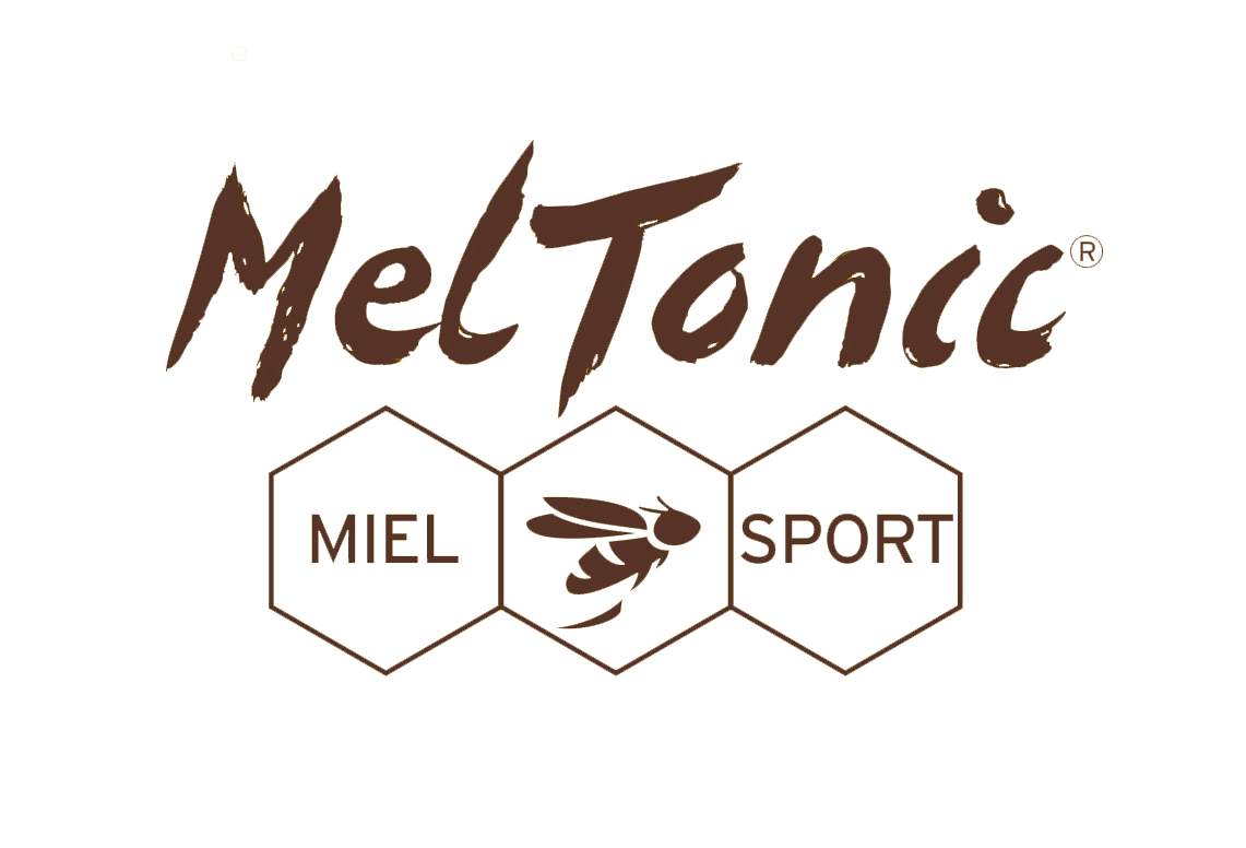 Logo Meltonic