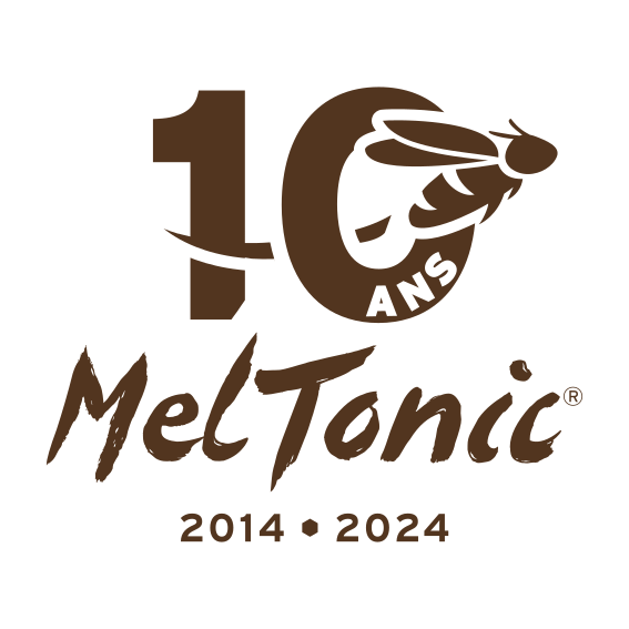 Logo Meltonic