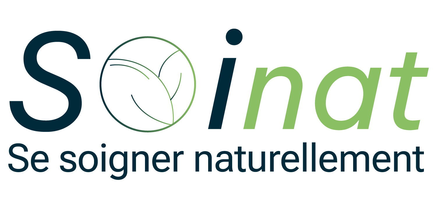 Logo Soinat
