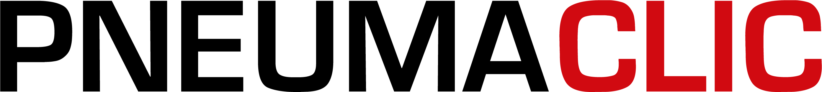 Logo PNEUMACLIC
