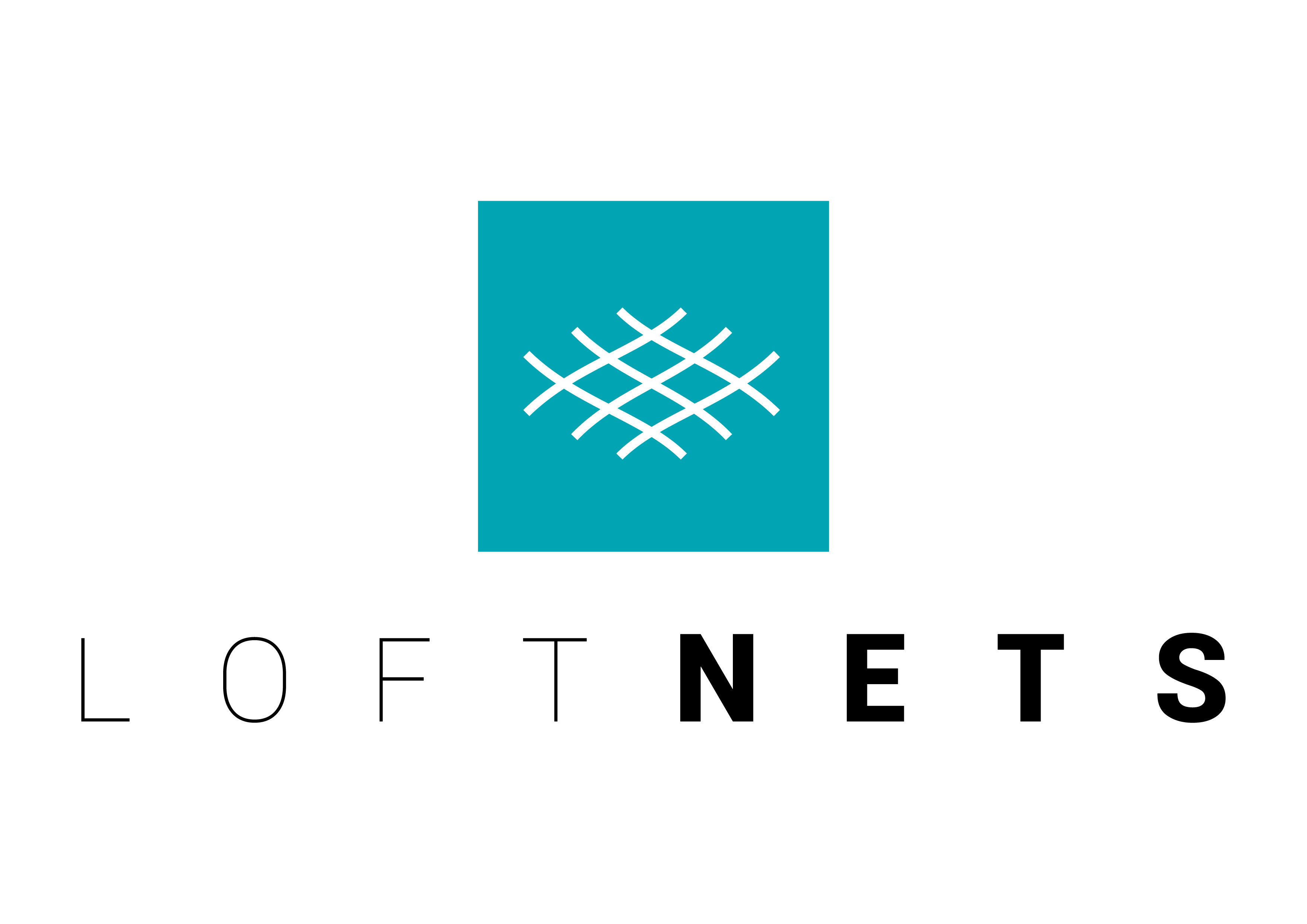 Logo LOFTNETS