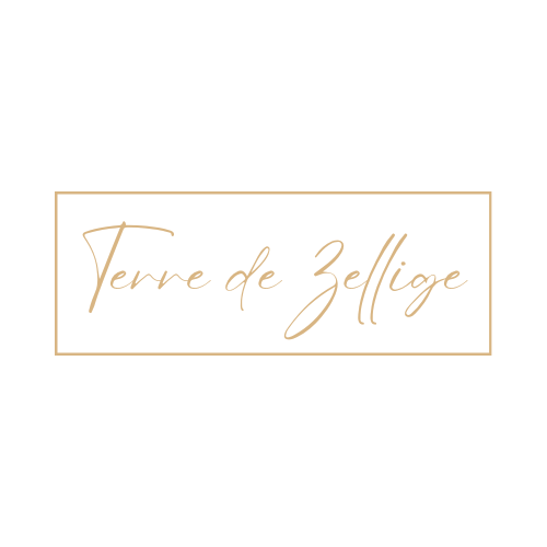 Logo Terre de Zellige