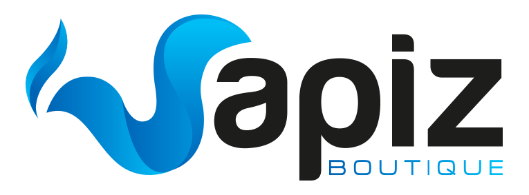 Logo Vapiz