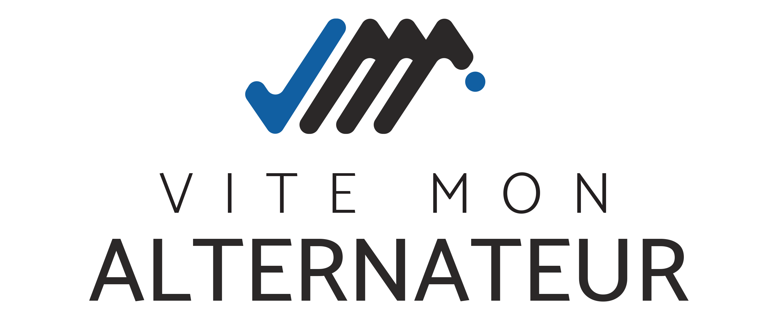 Logo Vite Mon Alternateur