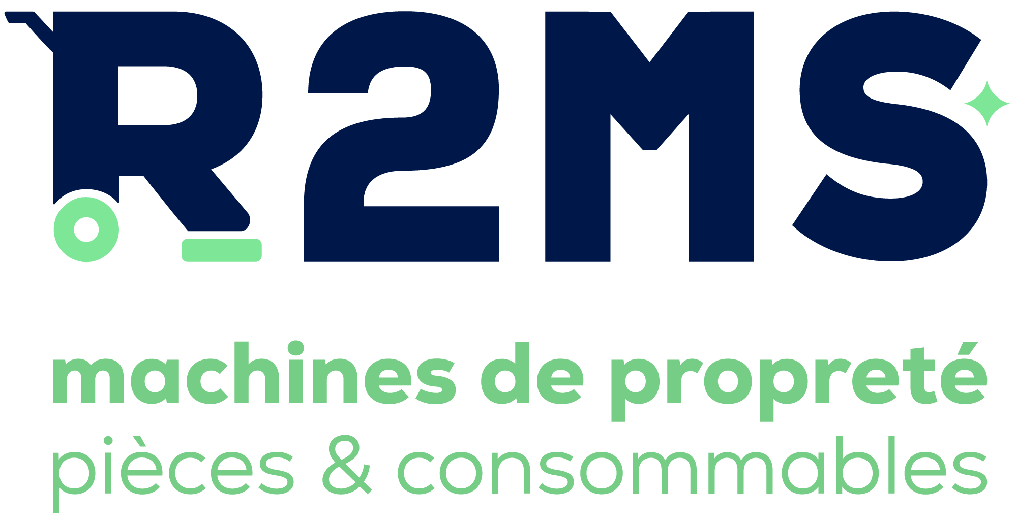 Logo R2MS