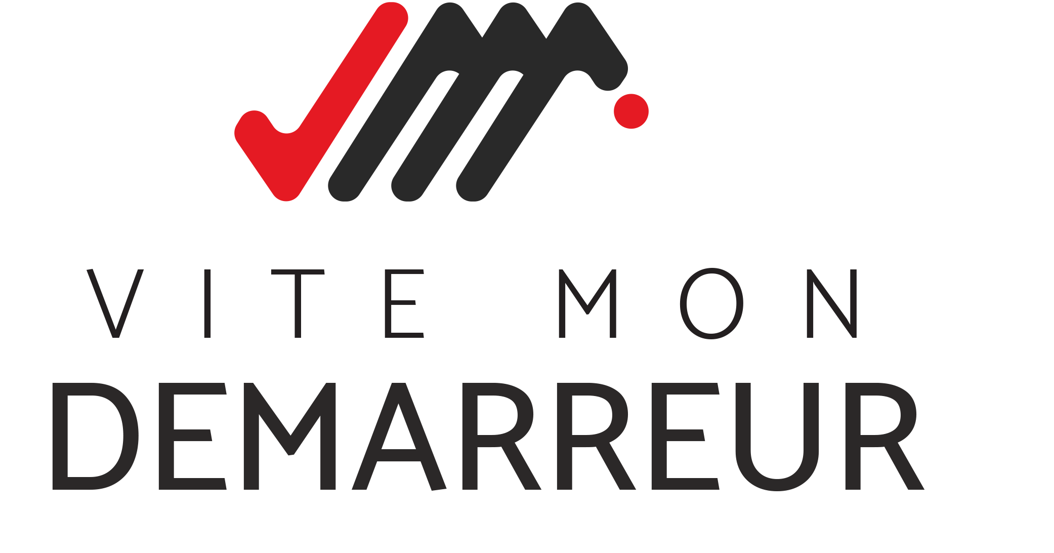 Logo Vite Mon Demarreur