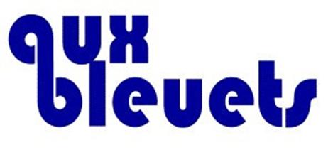 Logo auxbleuets.fr