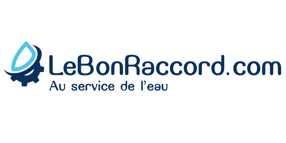 Logo LeBonRaccord.com