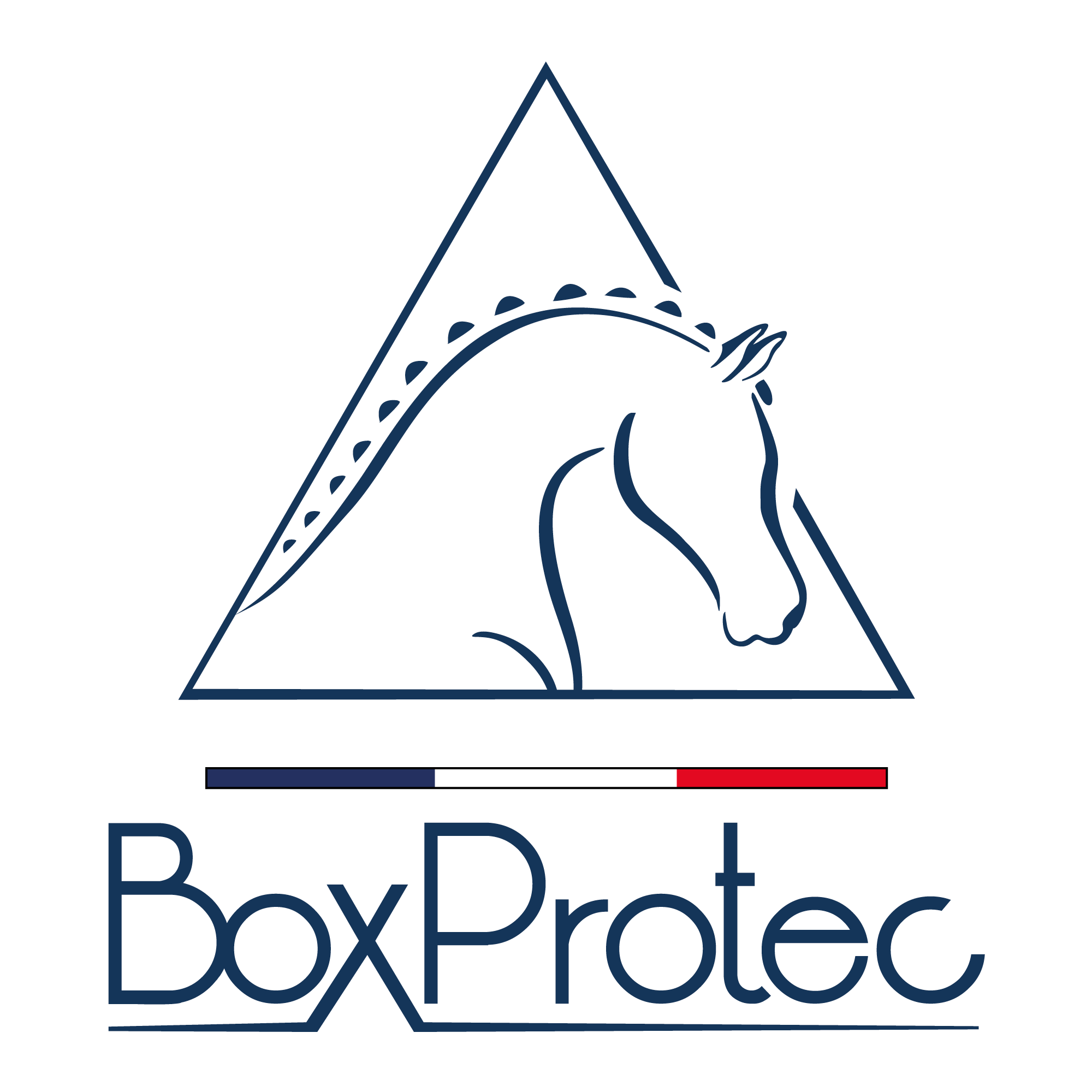 Logo BOXPROTEC