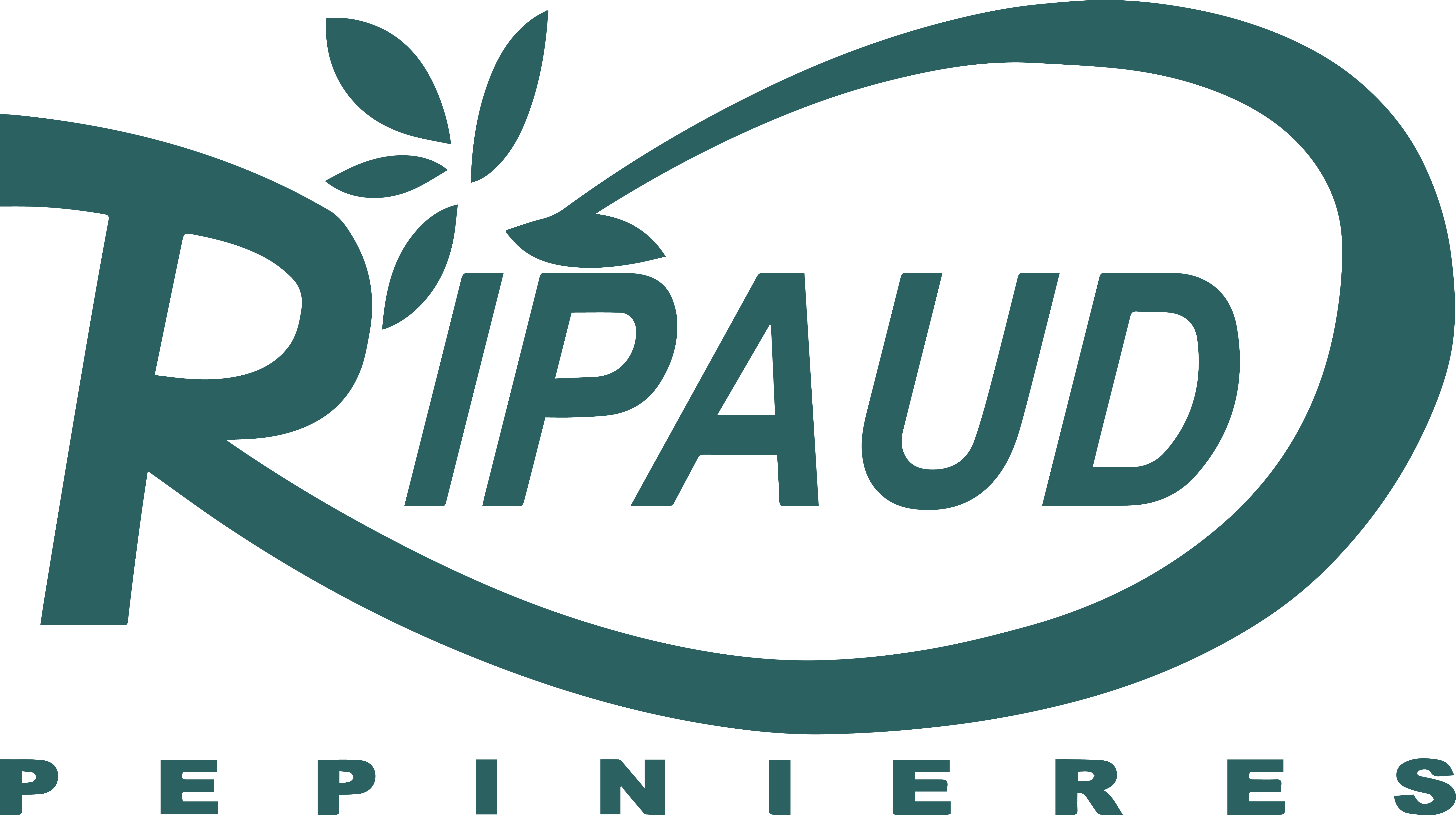 Logo ripaudpepinieres