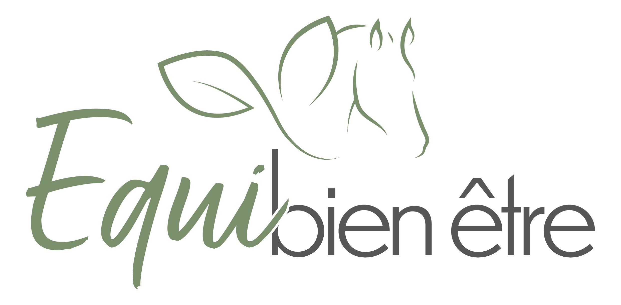 Logo EQUI BIEN ETRE