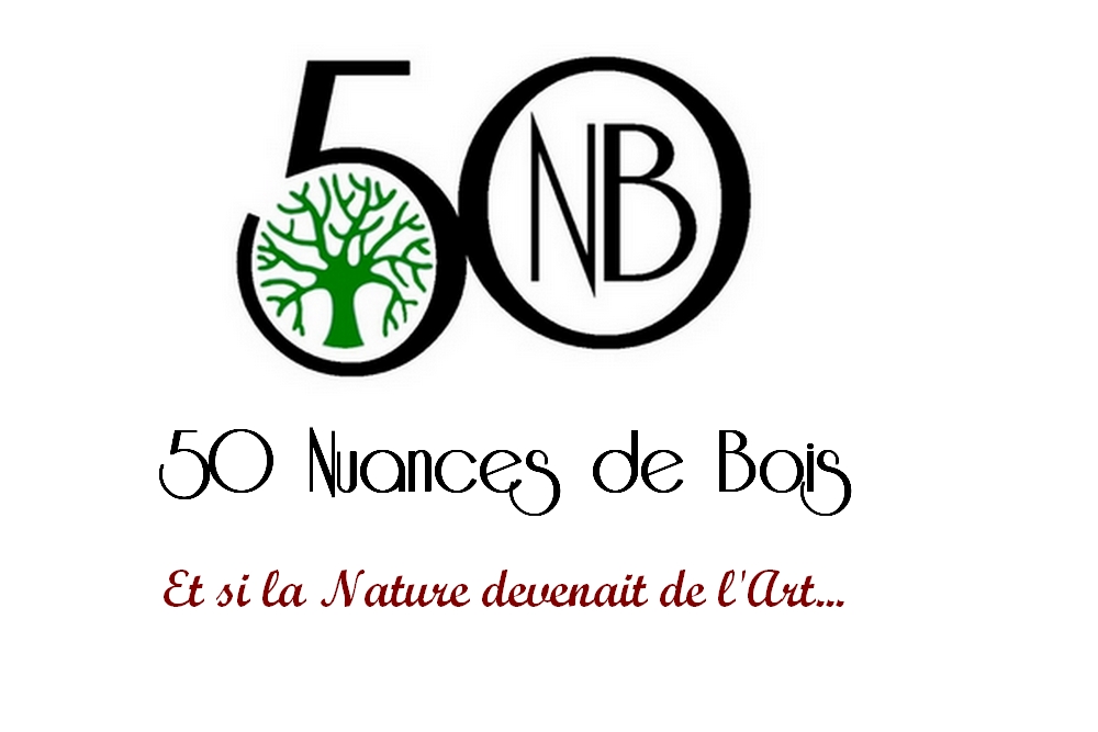 Logo 50 NUANCES DE BOIS