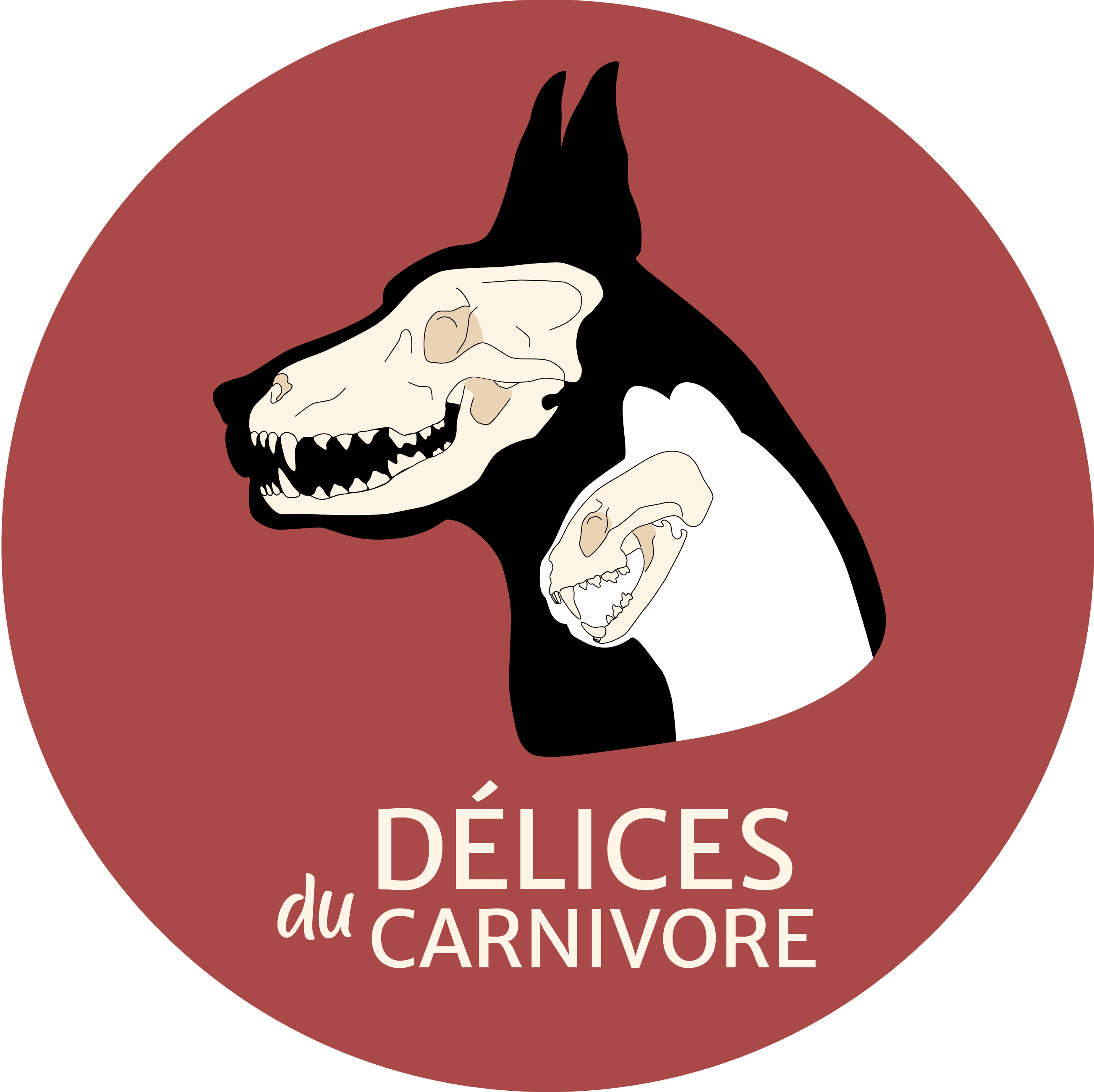 Logo Délices du Carnivore