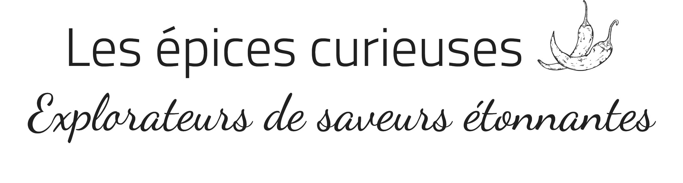 Logo Les épices curieuses