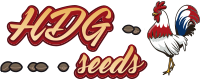 Logo HDG SEEDS