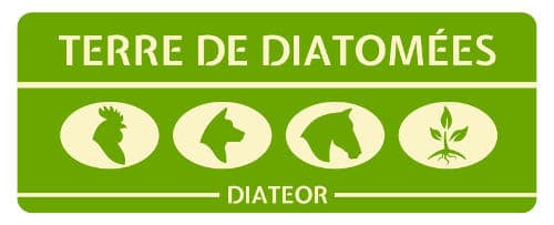Logo https://diateor.com