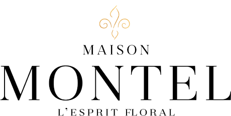 Logo MAISON MONTEL