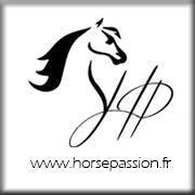 Logo Horse Passion