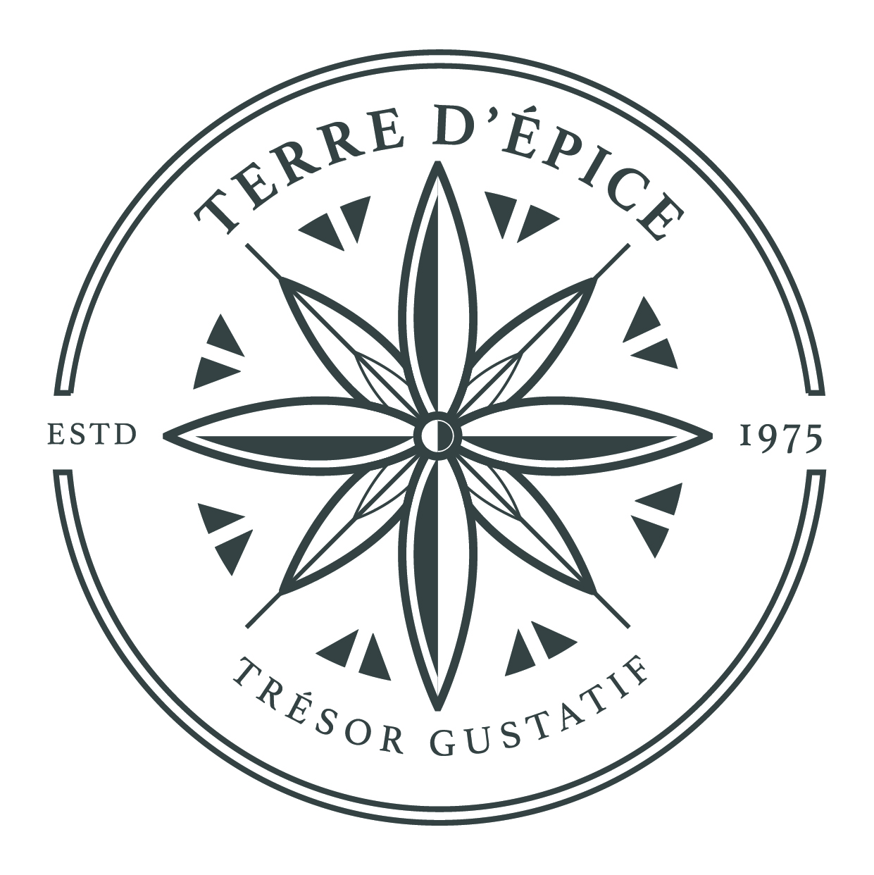 Logo terredepice.fr