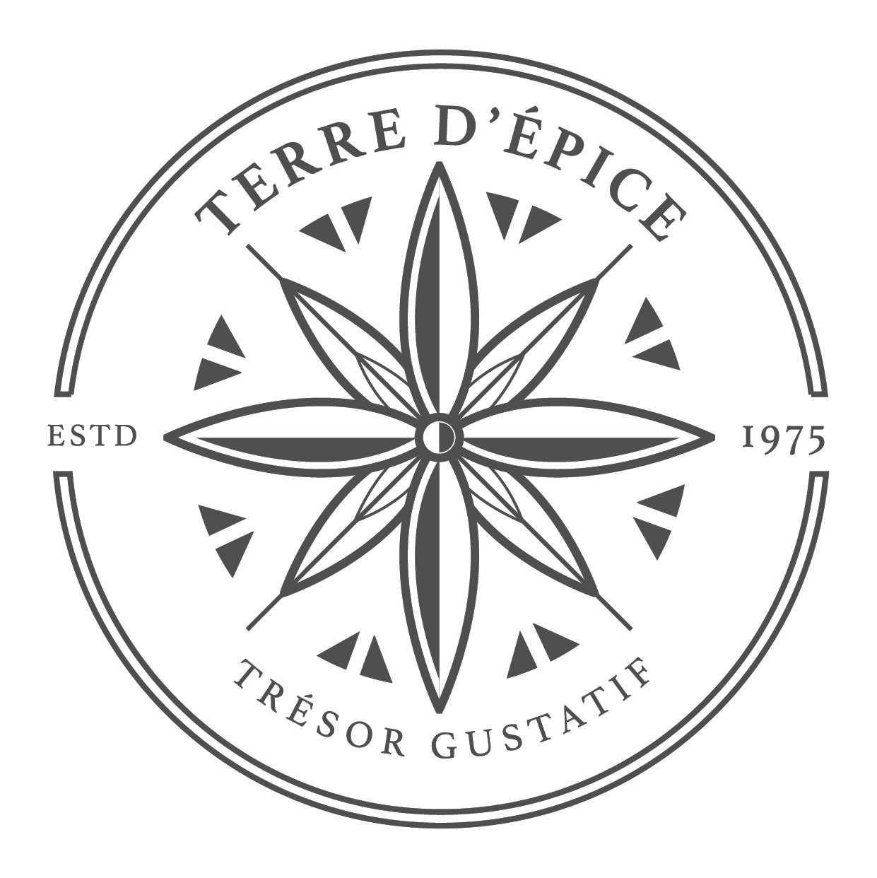 Logo terredepice.fr