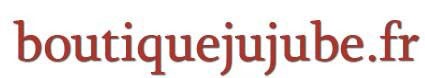 Logo boutiquejujube.fr