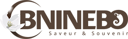 Logo bninebo