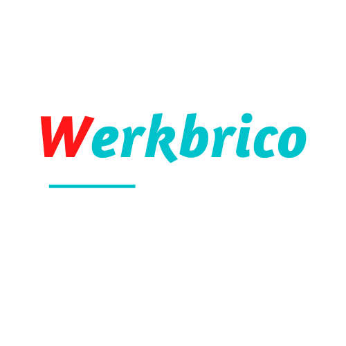 Logo Werkbrico