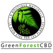 Logo Green Forest Cbd