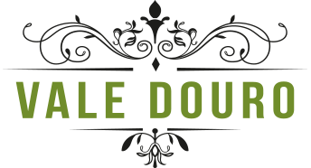 Logo VALE DOURO