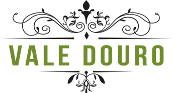 Logo VALE DOURO