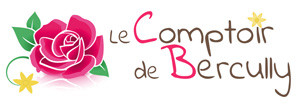Logo Le Comptoir de Bercully