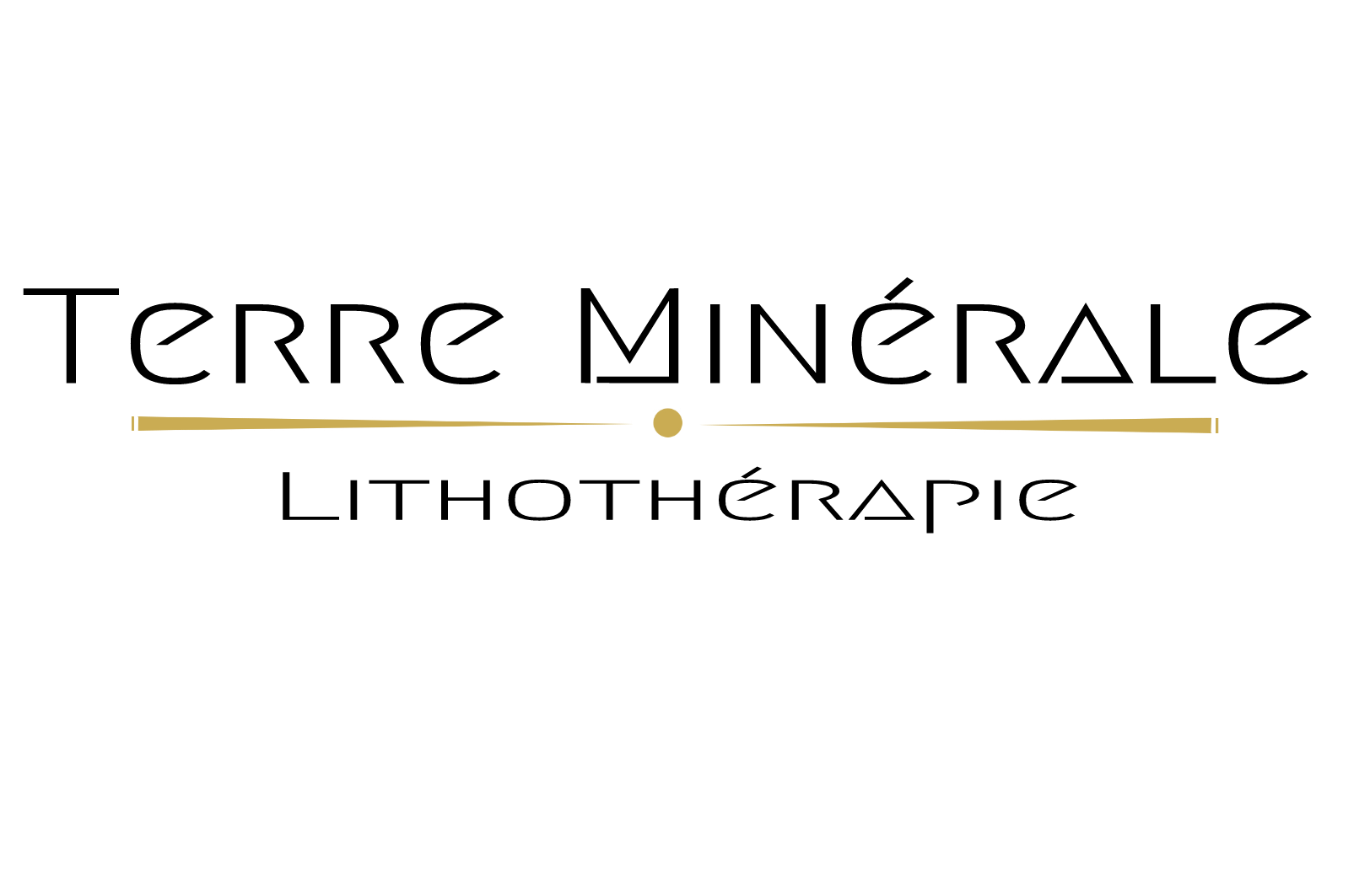 Logo TERRE MINERALE LITHOTHERAPIE