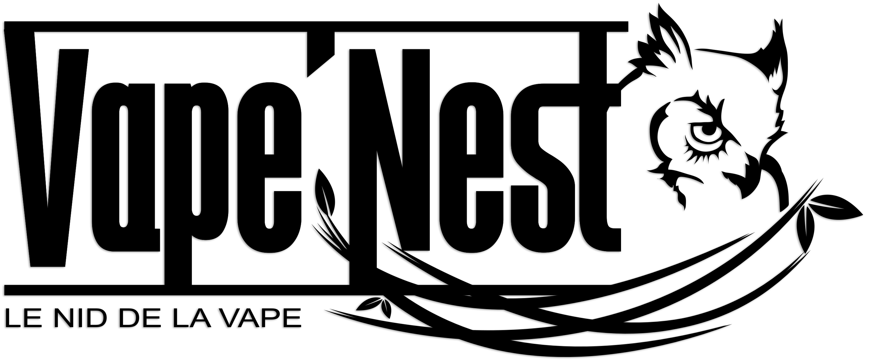 Logo Vapenest