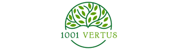 Logo 1001 Vertus