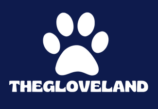 Logo The Glove Land