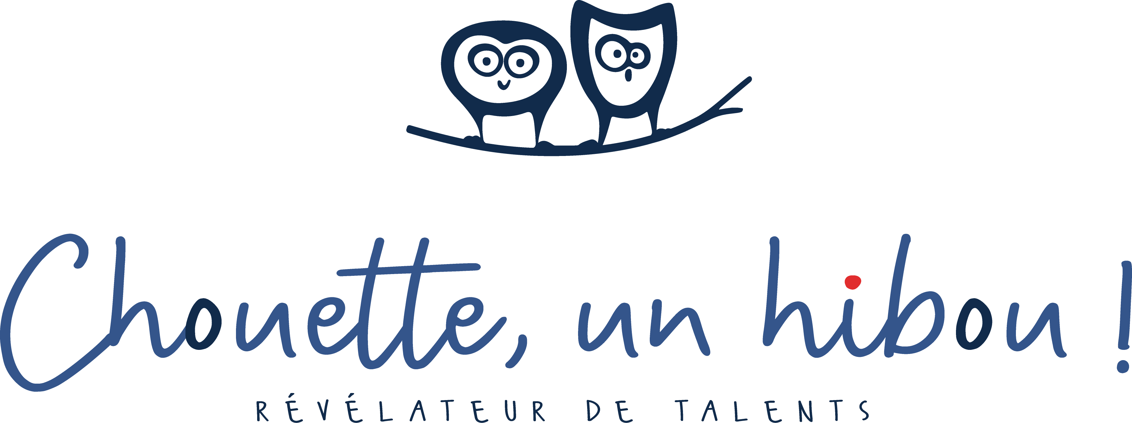 Logo Chouette un hibou