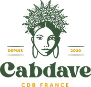 Logo Cabdave