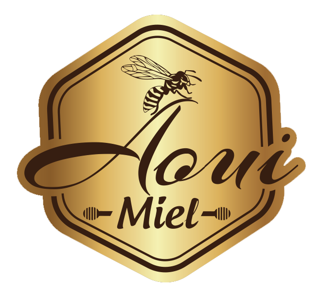 Logo aouimiel