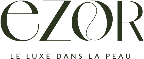Logo EZOR