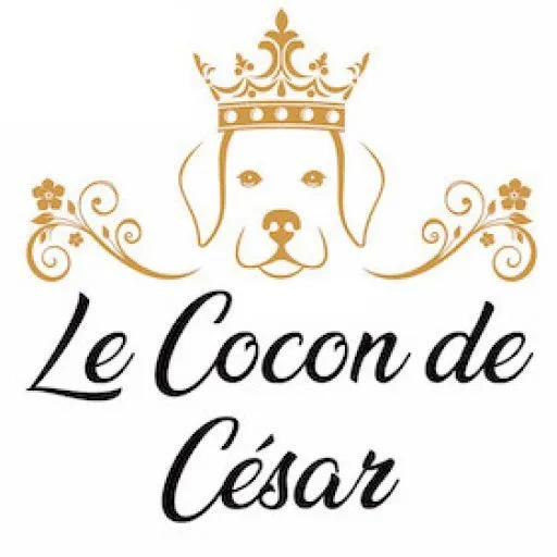 Logo Le Cocon de César