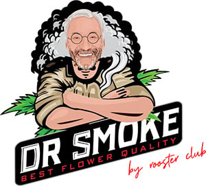 Logo DrSmoke