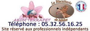 Logo Aromterrapet