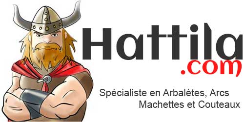 Logo Hattila.com